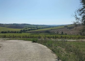 Terreno - Rustico via Serra, 50, San Marcello - foto 17