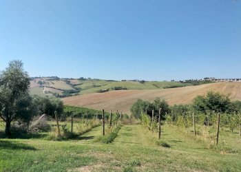 Terreno - Rustico via Serra, 50, San Marcello - foto 20