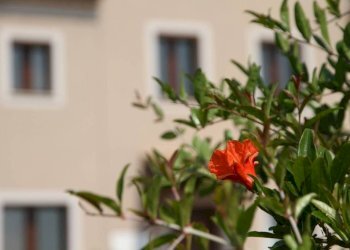Interno palazzo - Rustico via Serra, 50, San Marcello - foto 43