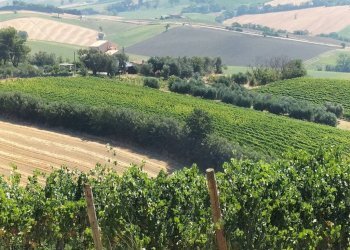 Vista - Rustico via Serra, 50, San Marcello - foto 48