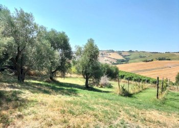 Terreno - Rustico via Serra, 50, San Marcello - foto 49