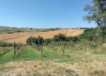 Terreno - Rustico via Serra, 50, San Marcello - foto 50