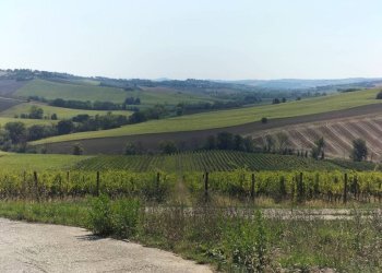 Terreno - Rustico via Serra, 50, San Marcello - foto 17
