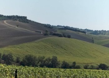 Vista - Rustico via Serra, 50, San Marcello - foto 24