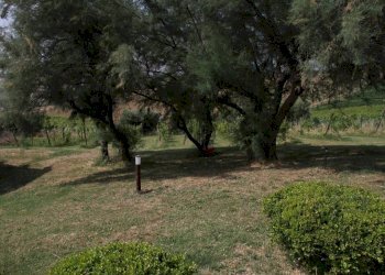 Terreno - Rustico via Serra, 50, San Marcello - foto 34