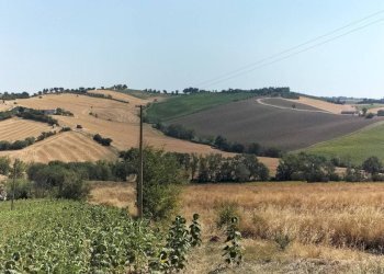 Terreno - Rustico via Serra, 50, San Marcello - foto 46
