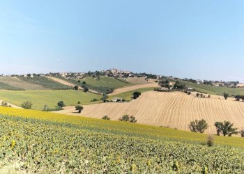Vista - Rustico via Serra, 50, San Marcello - foto 47