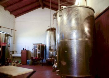 Interno non residenziale - Rustico via Adele Alfieri, Magliano Alfieri - foto 8