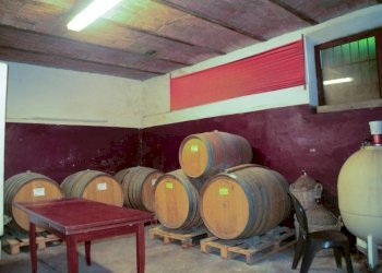 Interno non residenziale - Rustico via Adele Alfieri, Magliano Alfieri - foto 9