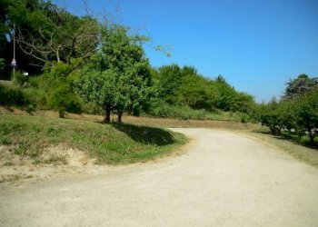 Terreno - Rustico via Adele Alfieri, Magliano Alfieri - foto 4