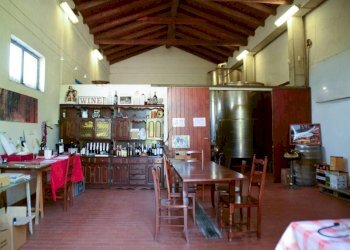 Interno non residenziale - Rustico via Adele Alfieri, Magliano Alfieri - foto 5