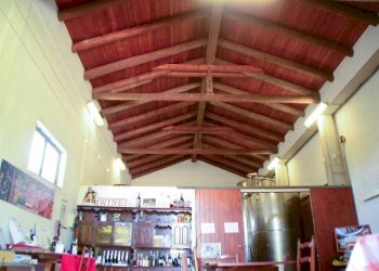 Interno non residenziale - Rustico via Adele Alfieri, Magliano Alfieri - foto 6