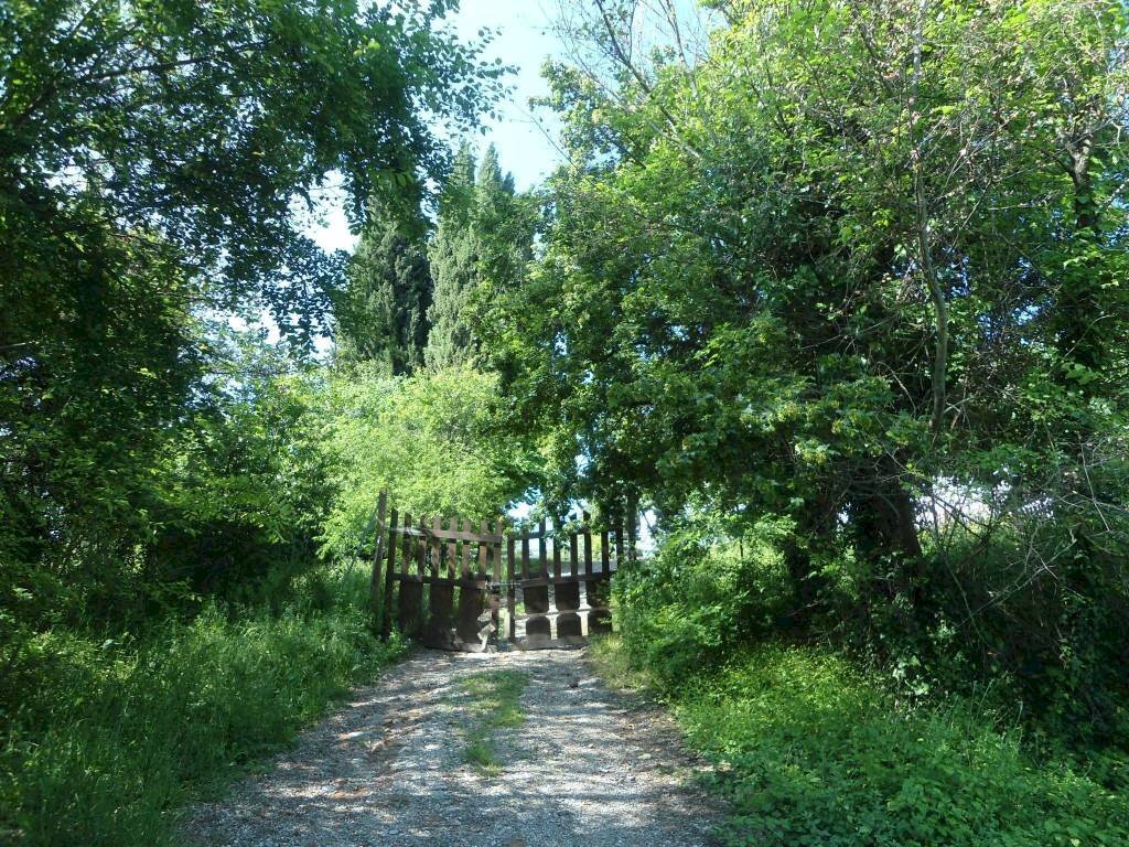 Giardino - Casa indipendente via San Martino, Monte San Pietro - foto 2
