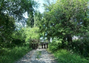 Giardino - Casa indipendente via San Martino, Monte San Pietro - foto 2