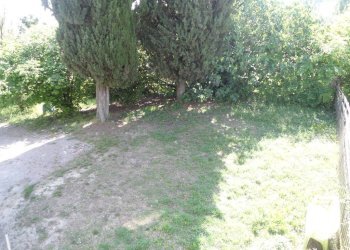 Giardino - Casa indipendente via San Martino, Monte San Pietro - foto 15