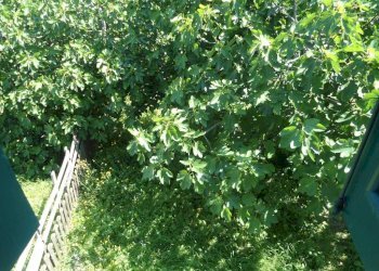 Balcone - Casa indipendente via San Martino, Monte San Pietro - foto 48