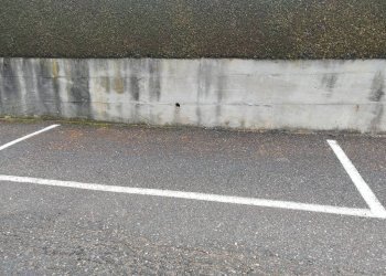 Posto macchina - Box viale Europa, Agra - foto 3