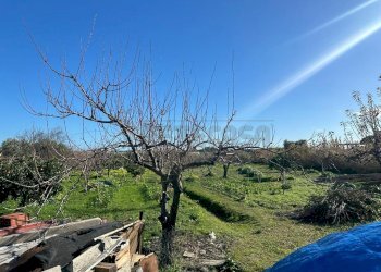 27484b6c-274d-4aa9-b986-a95f4a4d57b8.jpg - Villa Via Vittorio Bachelet, Catanzaro - foto 5