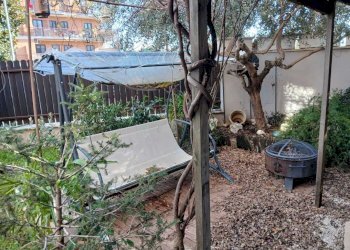 WhatsApp Image 2026-01-15 at 15.07.28 (1).jpeg - Appartamento Via Montegiove Nuovo, Genzano di Roma - foto 19