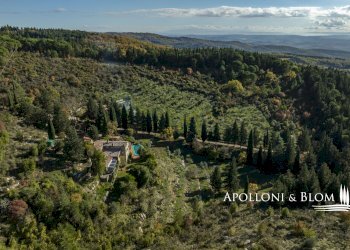 Casale loc salivolpi, 5, Castellina in Chianti - photo 6