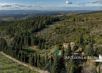 Casale loc salivolpi, 5, Castellina in Chianti - photo 10