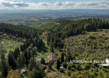 Casale loc salivolpi, 5, Castellina in Chianti - photo 11