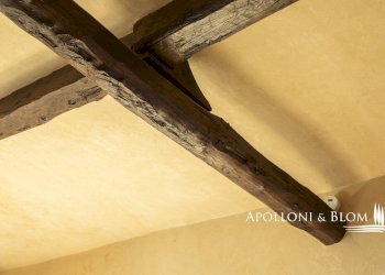 Casale loc salivolpi, 5, Castellina in Chianti - photo 27