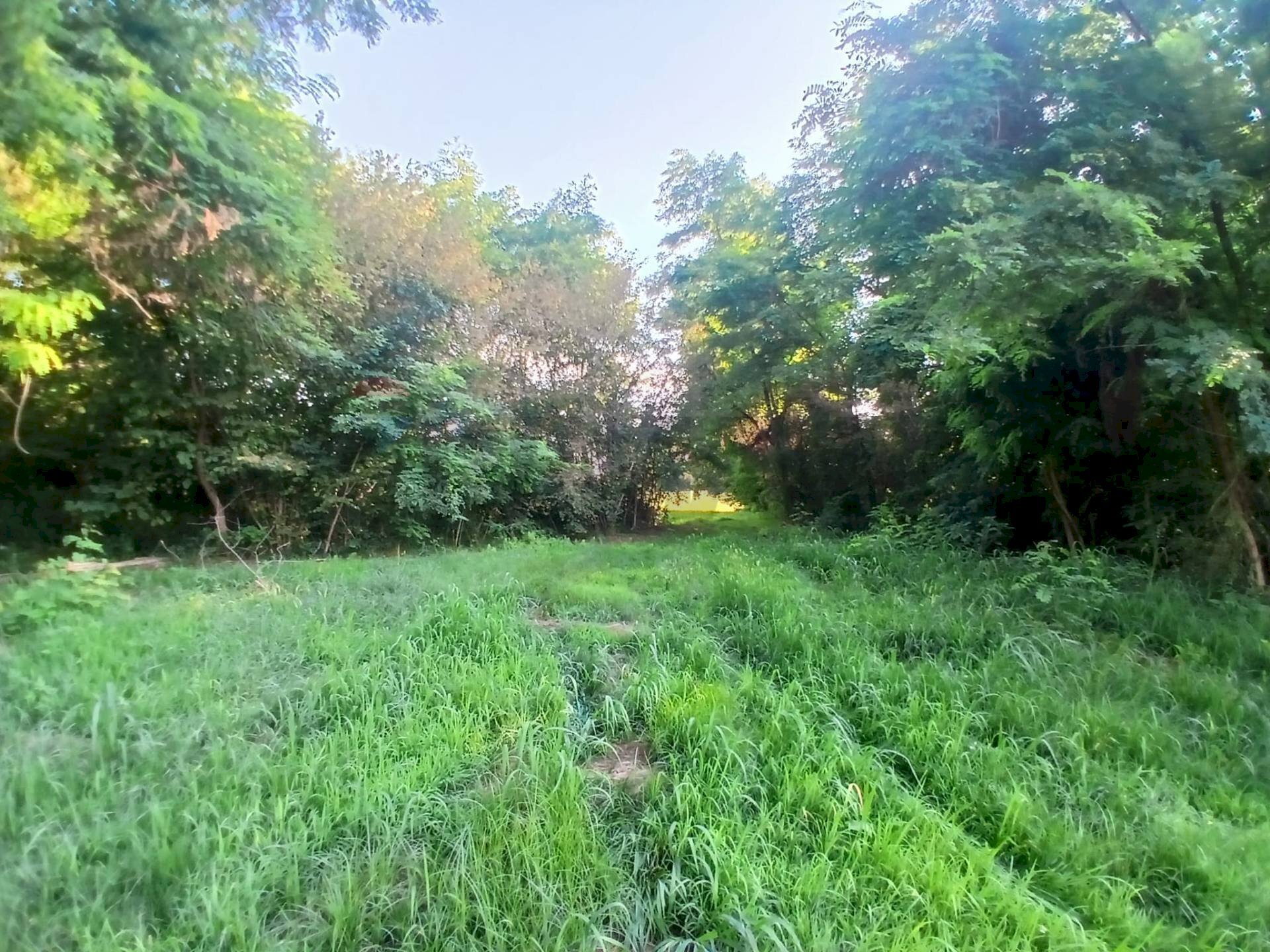 Building land Via Castellengo 
 Candelo, BI, Candelo - photo 1
