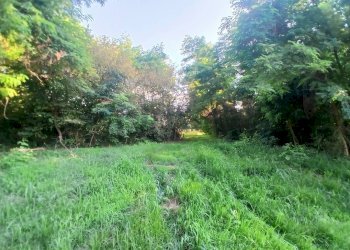 Building land Via Castellengo
Candelo, BI, Candelo - photo 1