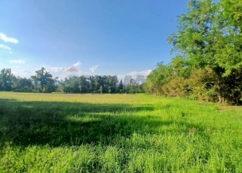 Building land Via Castellengo
Candelo, BI, Candelo - photo 4