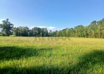 Building land Via Castellengo
Candelo, BI, Candelo - photo 5