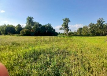 Building land Via Castellengo
Candelo, BI, Candelo - photo 6