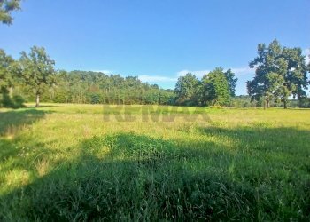 Building land Via Castellengo
Candelo, BI, Candelo - photo 9