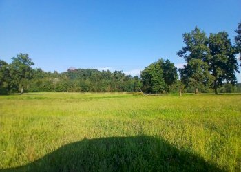 Building land Via Castellengo
Candelo, BI, Candelo - photo 10