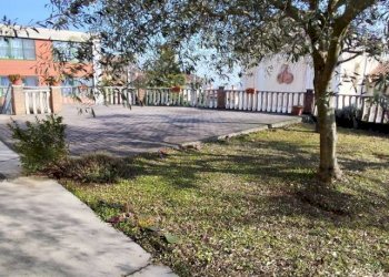 Rustic Antignano - photo 14