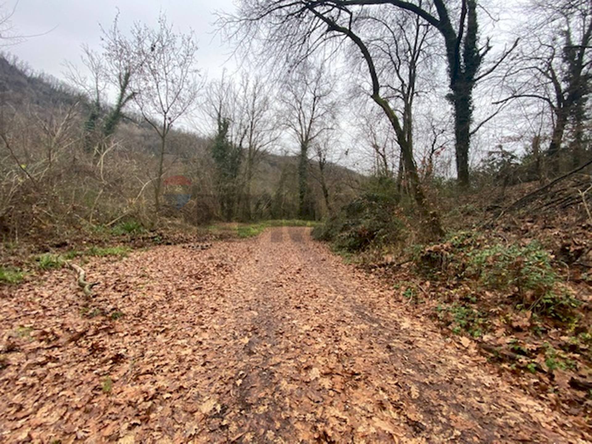 Giardino - Terreno agricolo Imbersago - foto 1