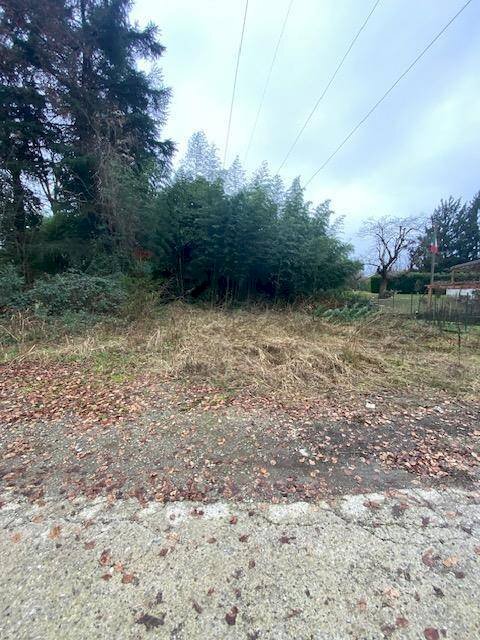 Giardino - Terreno agricolo Imbersago - foto 3