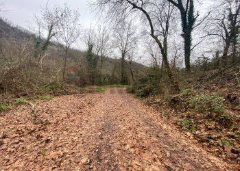 Giardino - Terreno agricolo Imbersago - foto 1