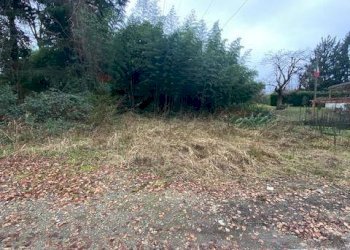 Giardino - Terreno agricolo Imbersago - foto 3