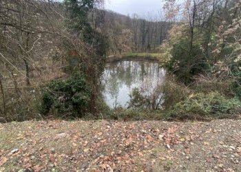 Vista delle montagne - Terreno agricolo Imbersago - foto 5