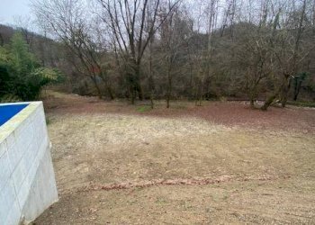 Giardino - Terreno agricolo Imbersago - foto 7