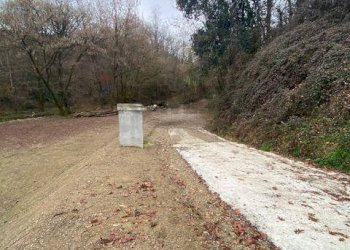 Giardino - Terreno agricolo Imbersago - foto 8