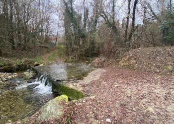 Giardino - Terreno agricolo Imbersago - foto 10