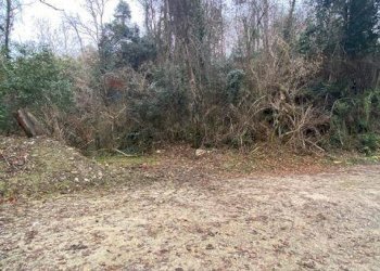 Giardino - Terreno agricolo Imbersago - foto 11