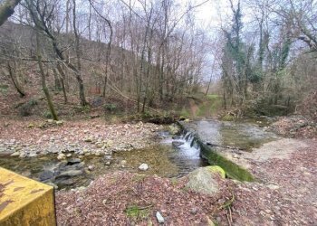 Giardino - Terreno agricolo Imbersago - foto 13