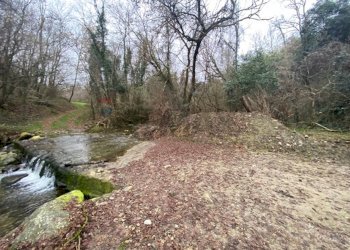 Giardino - Terreno agricolo Imbersago - foto 14