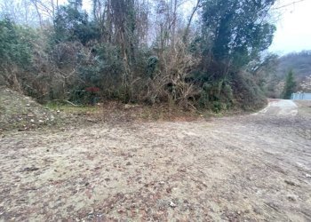 Giardino - Terreno agricolo Imbersago - foto 15