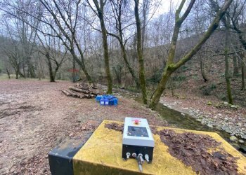 Giardino - Terreno agricolo Imbersago - foto 18