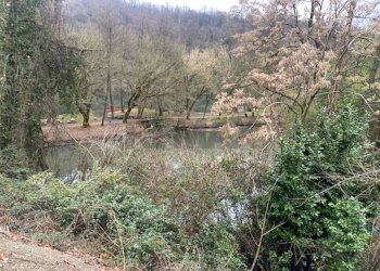 Giardino - Terreno agricolo Imbersago - foto 19