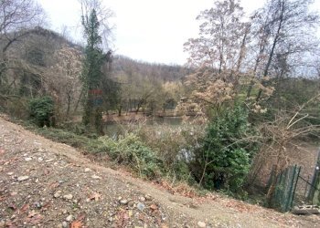 Giardino - Terreno agricolo Imbersago - foto 20